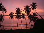 SIA to help promote Sri Lanka tourism